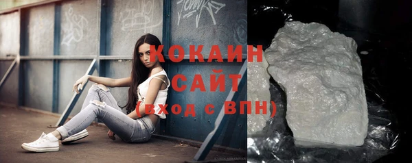 индика Корсаков