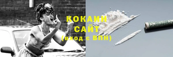 индика Корсаков