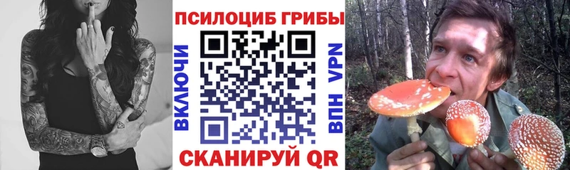 Галлюциногенные грибы Psilocybe  Купить  Ворсма 